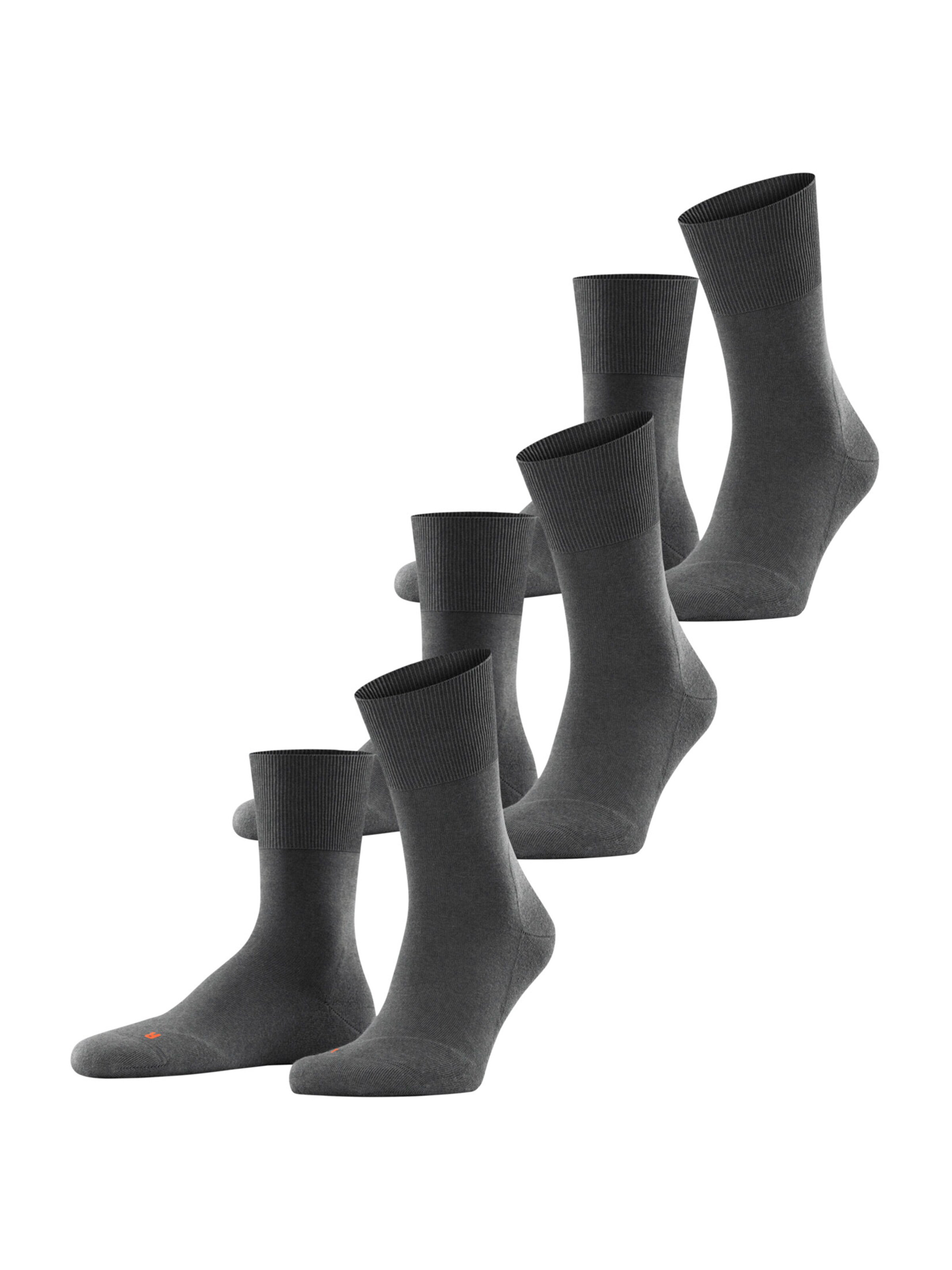 pilka FALKE Kojinės