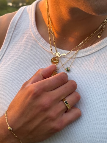 Arkai Ring 'Mediterranean' in Gold