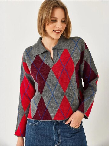 Bianco LucciPulover 'Pullover' - miks boja boja