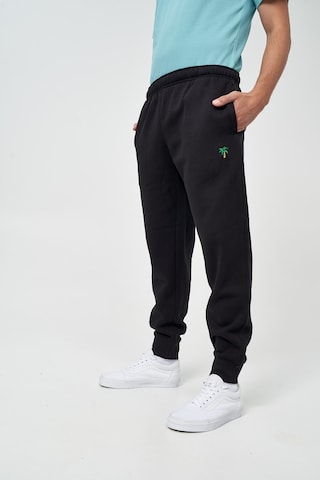 Tapered Pantaloni 'Palme' di Mikon in nero