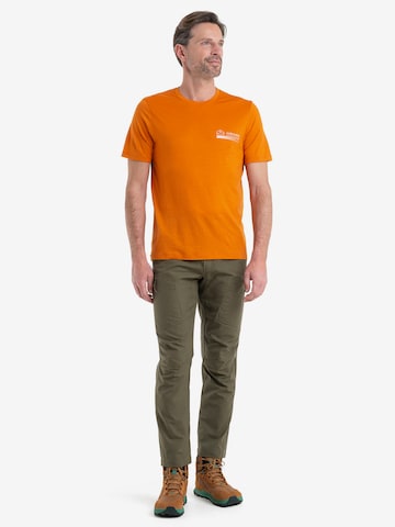 ICEBREAKER Shirt 'Mountain' in Oranje