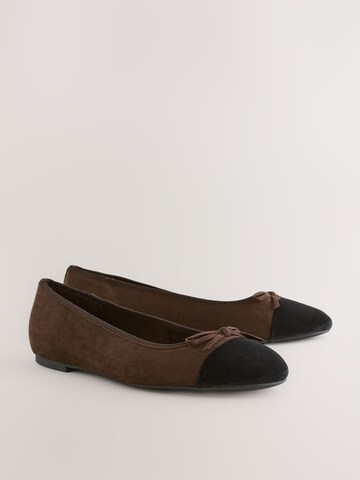 Next Ballet Flats in Brown