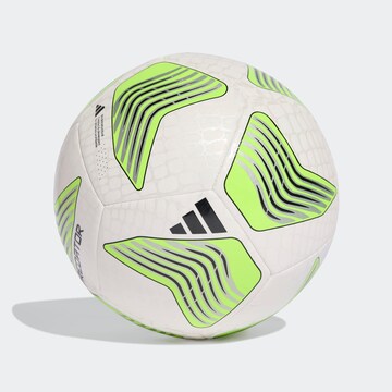 ADIDAS PERFORMANCE Ball in White: front