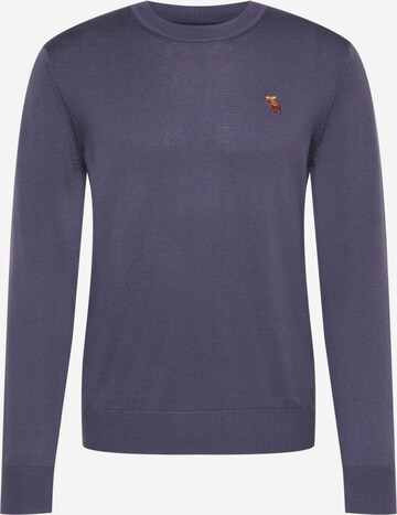Abercrombie & Fitch Sweater 'SPRING' in Blue: front