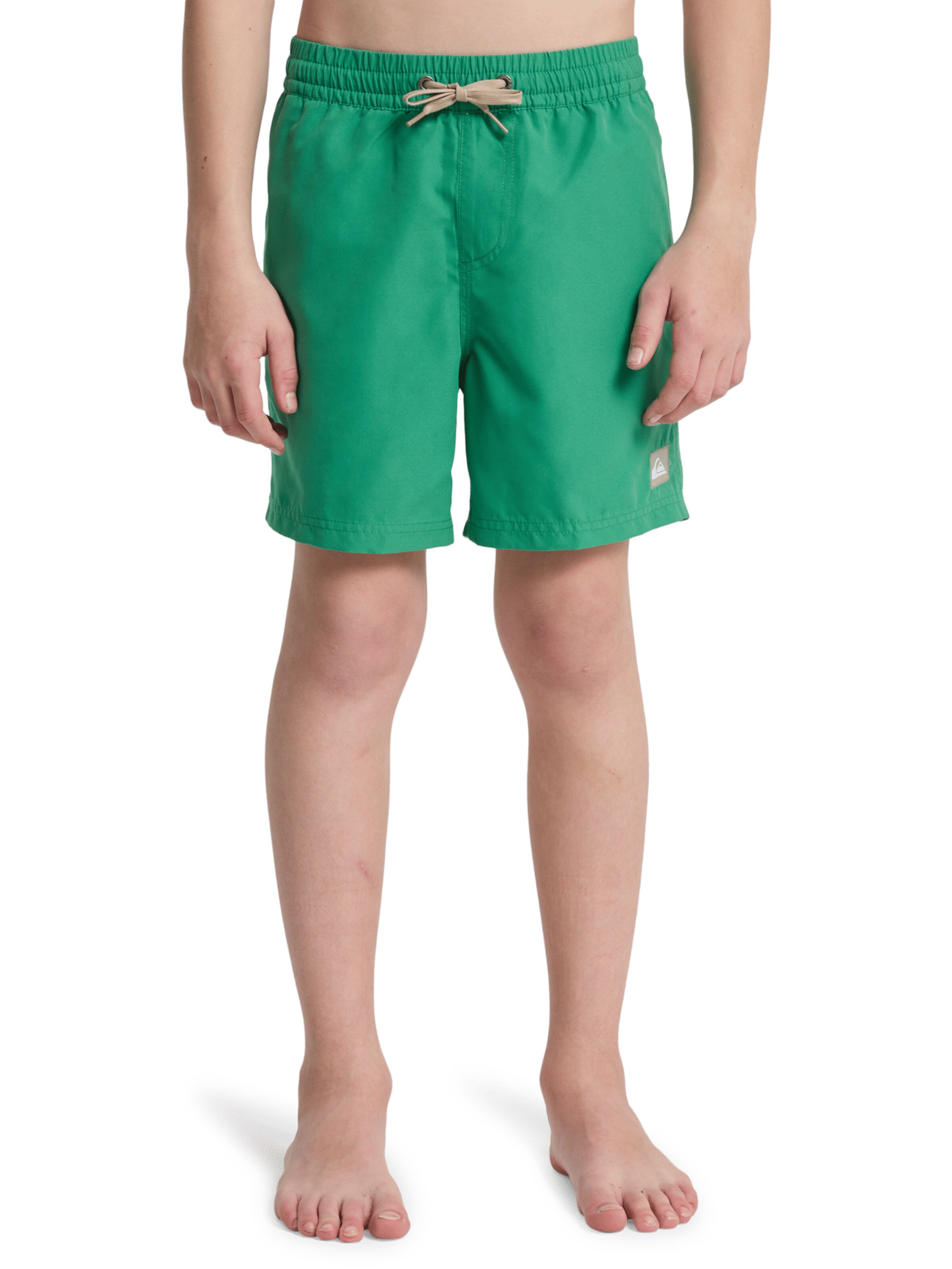 QUIKSILVER Board Shorts 'Everyday Volley 14' in Green: front
