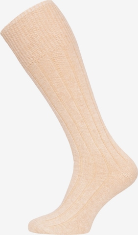 HomeOfSocks Kniestrümpfe 'HOSK494' in Beige: Vorderseite