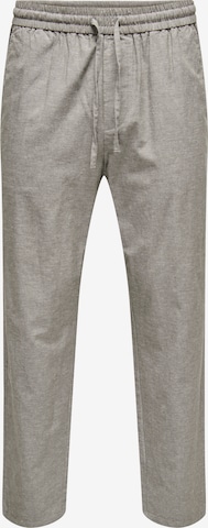 Only & Sons Pants 'ONSLINUS' in Brown: front