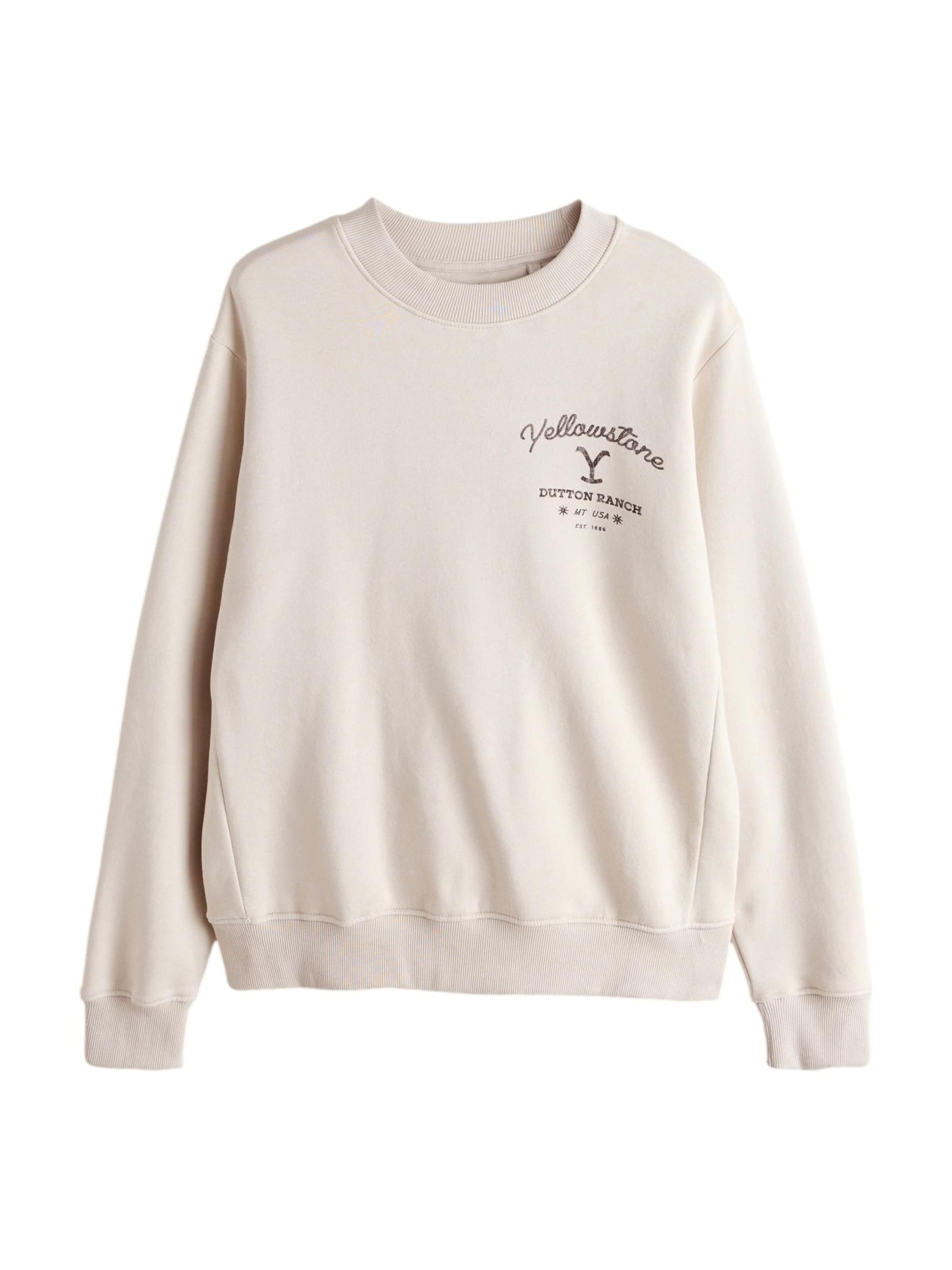 Next - Sweatshirt em cinzento: frente