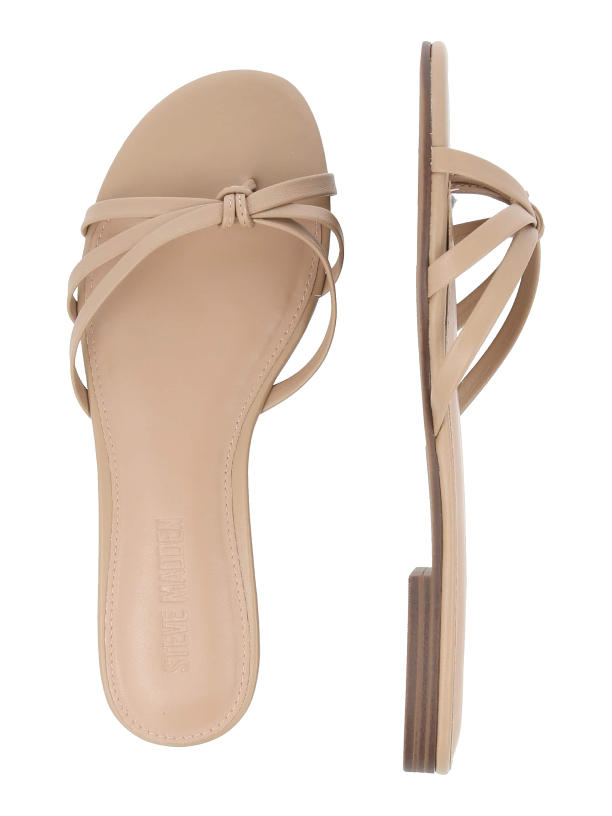STEVE MADDEN Varbavaheplätu 'Calissi', värv beež