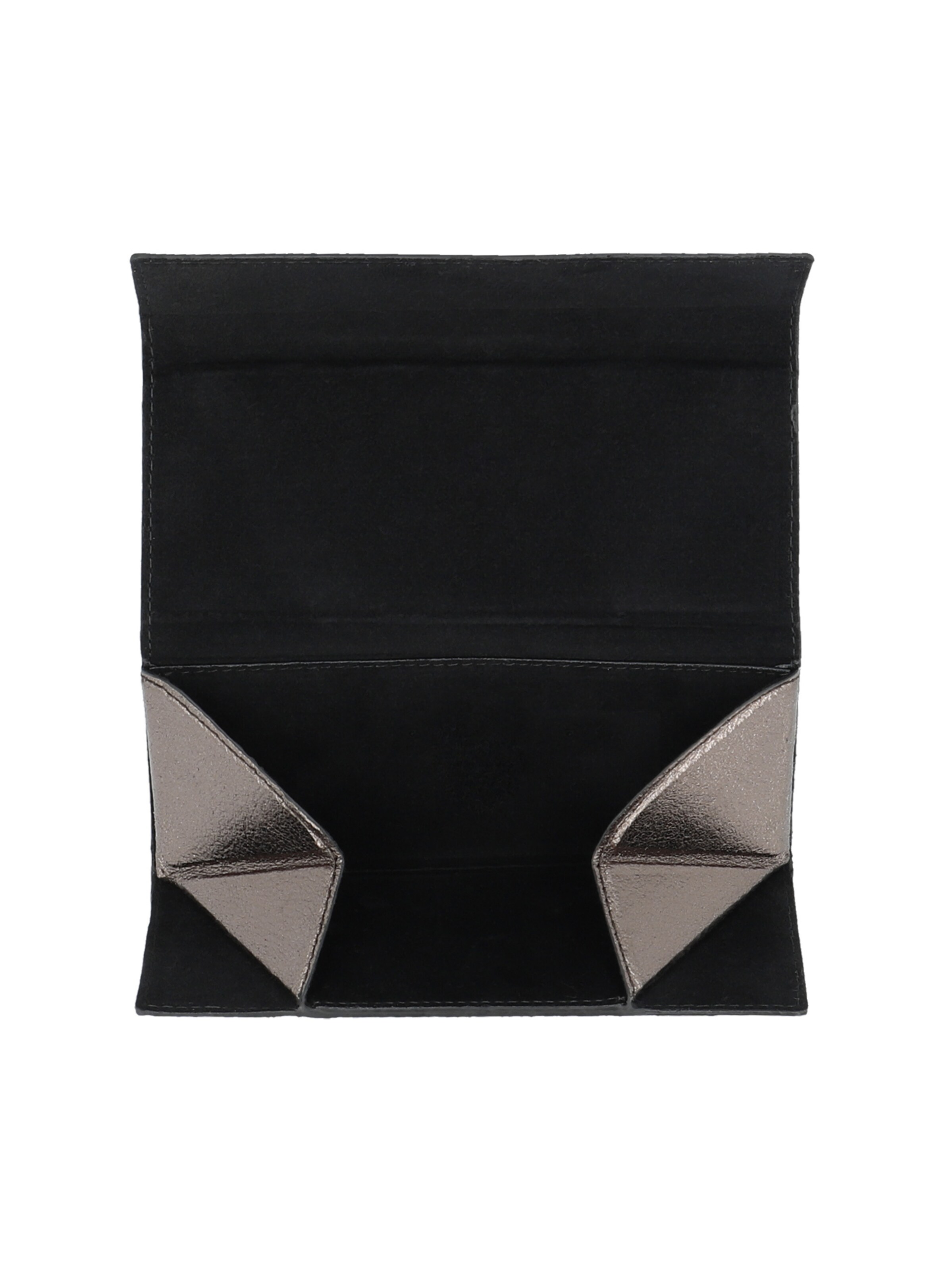 Picard Case 'Taste' in Silver