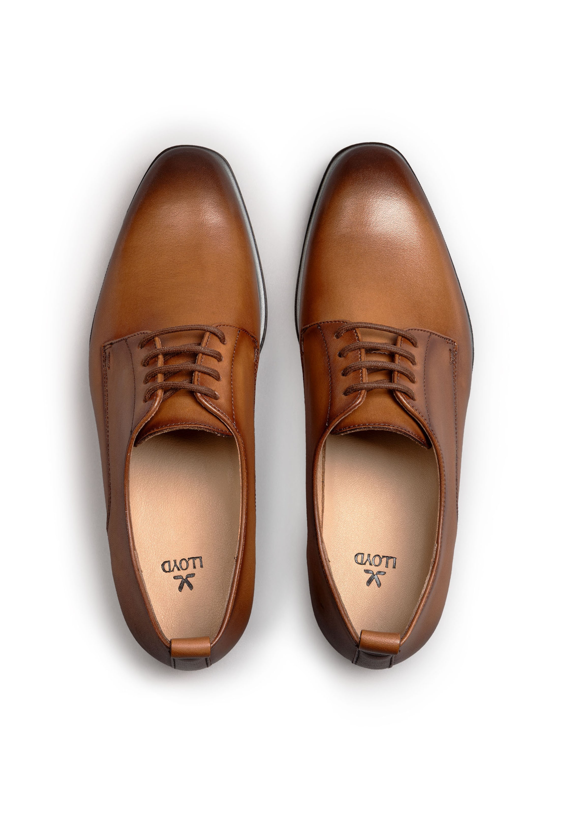 Chaussure à lacets LLOYD en marron