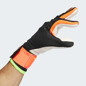 ADIDAS PERFORMANCE Sports gloves 'Predator League' in Red