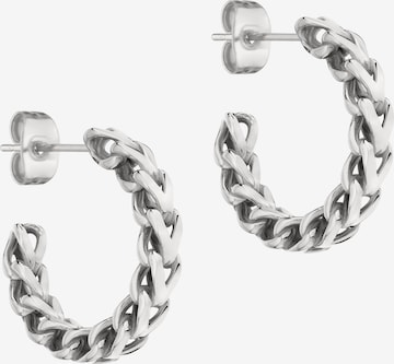 Liebeskind Berlin Earrings in Silver: front