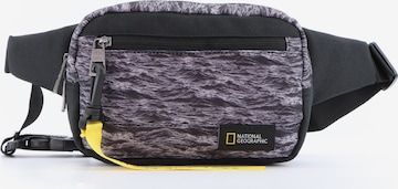 National Geographic Suitcase 'Natural' in Grey: front