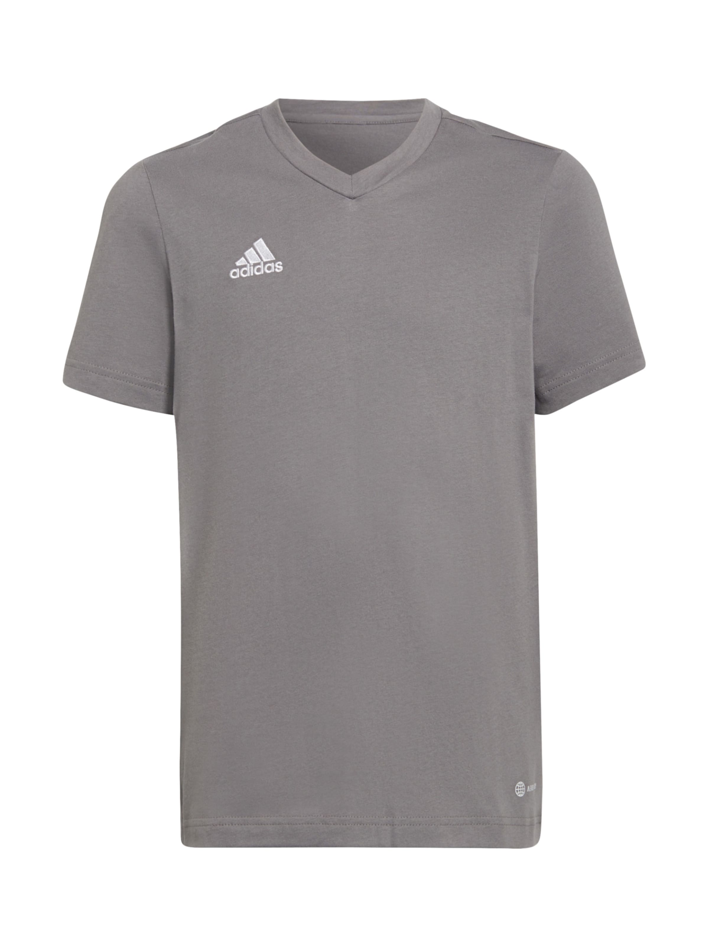 ADIDAS PERFORMANCE Funktsionaalne särk 'Entrada 22', värv hall: eest vaates