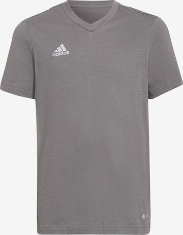 ADIDAS PERFORMANCE Funktionsshirt 'Entrada 22' in Grau: predná strana