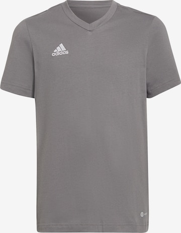 ADIDAS PERFORMANCE Performance Shirt 'Entrada 22' in Grey: front