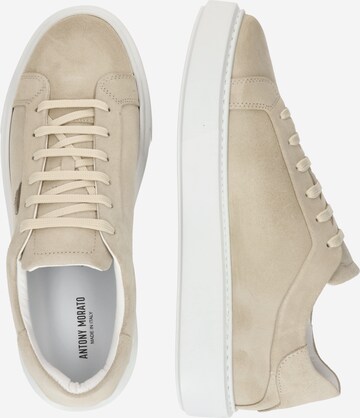 ANTONY MORATO Låg sneaker i beige