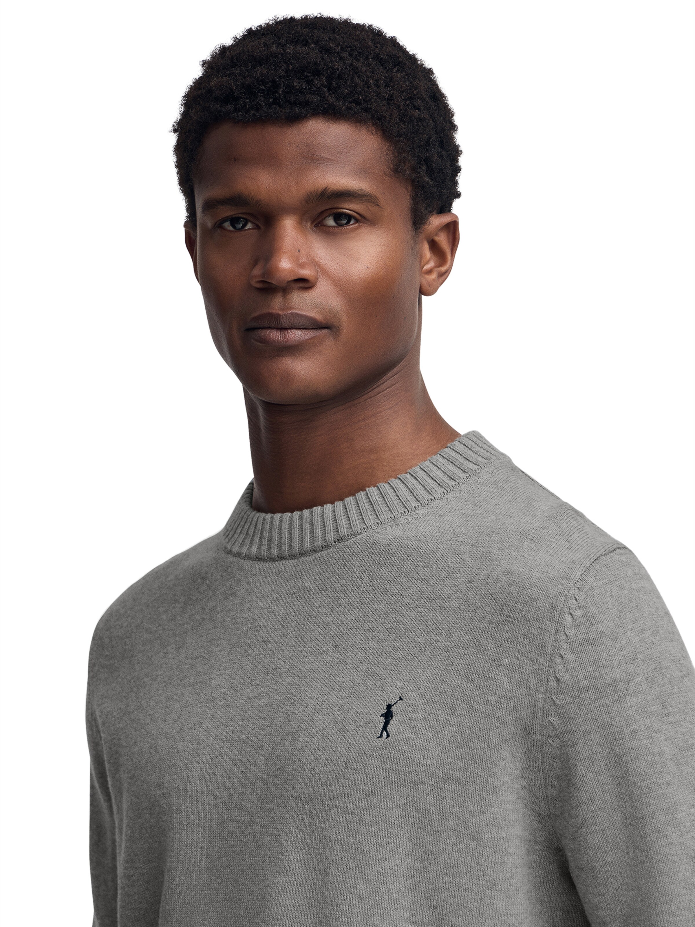 Polo Club Sweater in Grey