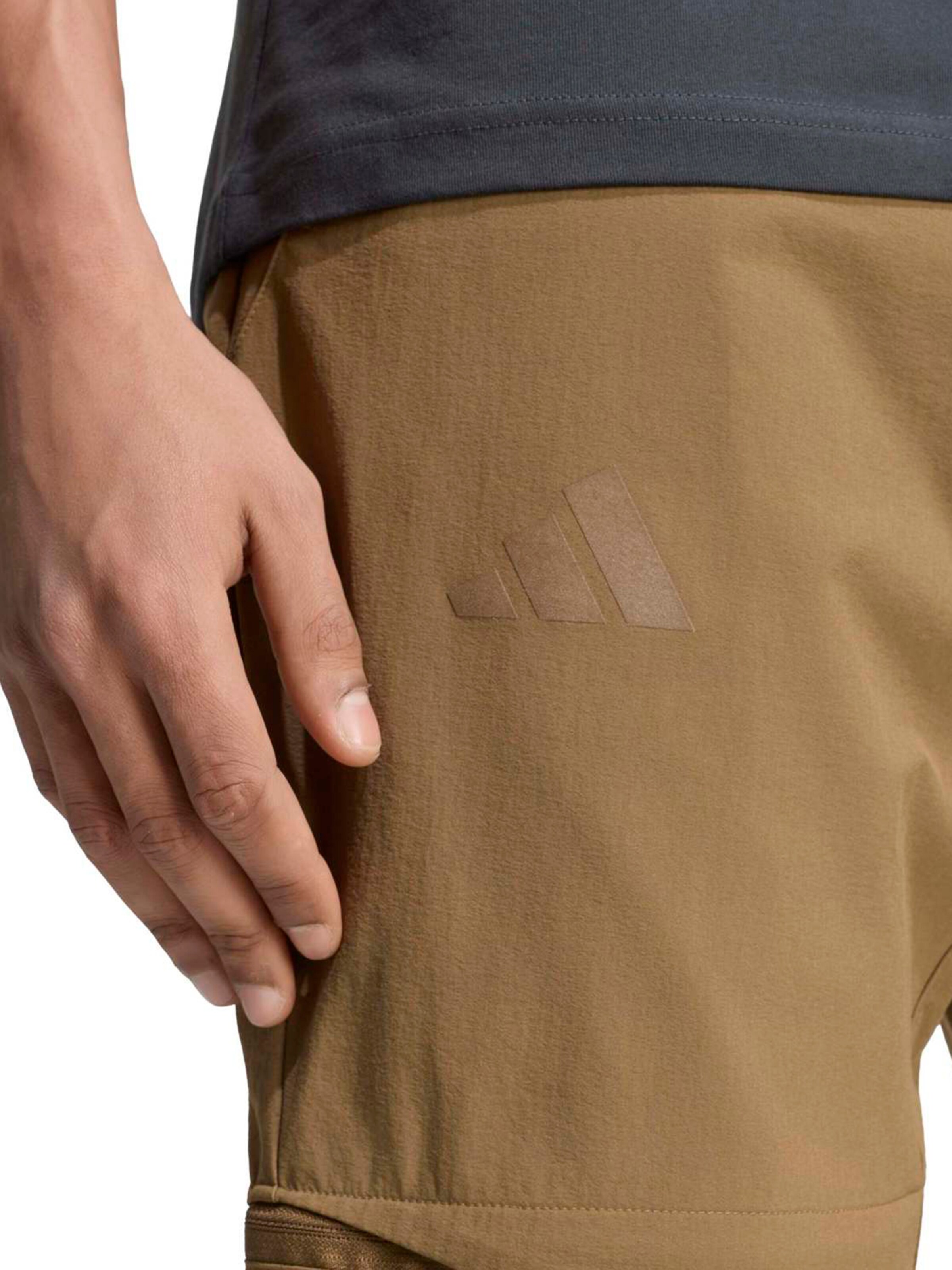 ADIDAS TERREX regular Παντελόνι πεζοπορίας σε καφέ