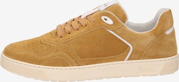 SIOUX Sneakers ' Tedroso-704 ' in Yellow