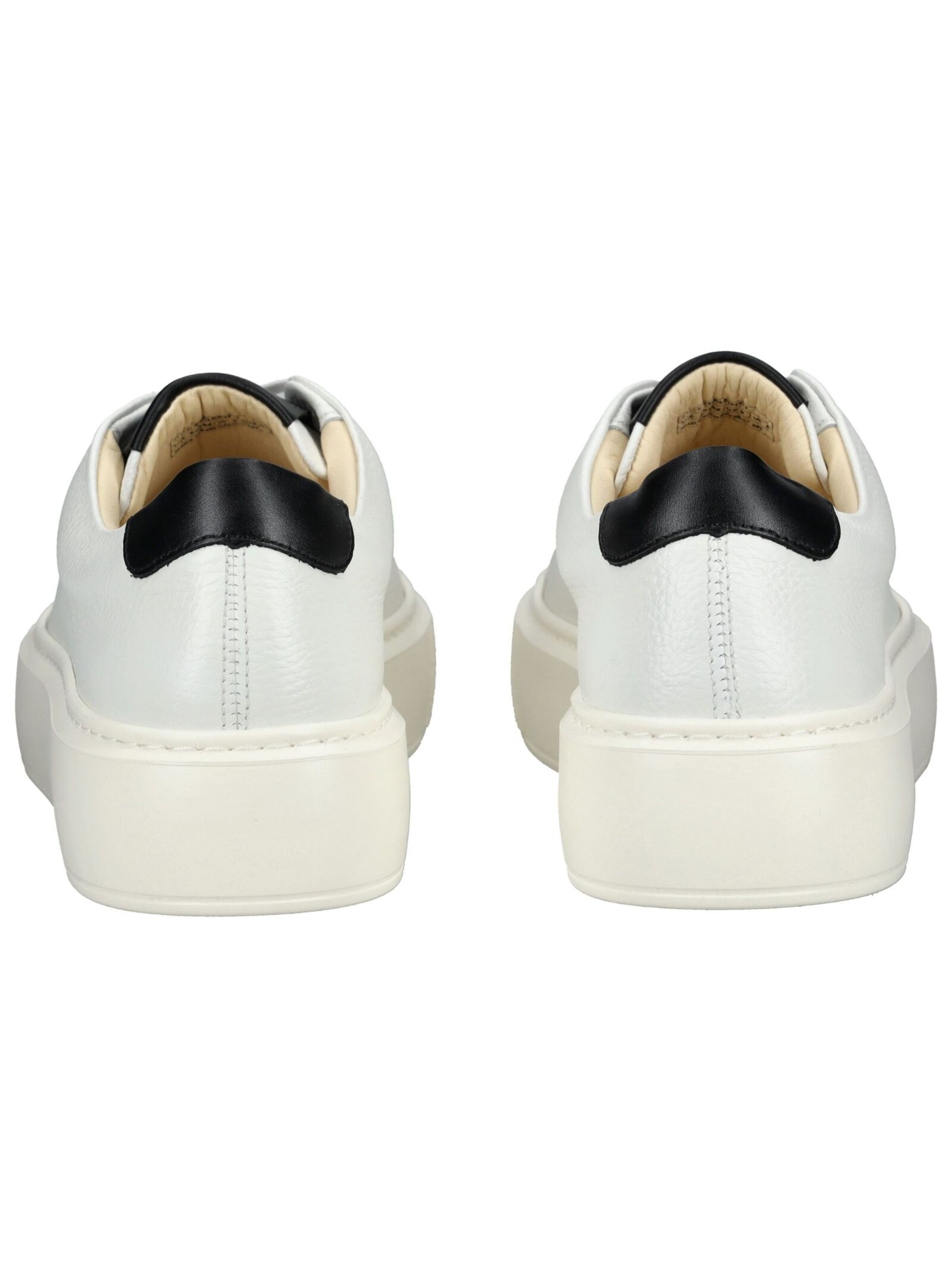 Baskets basses Sneaky Steve en blanc