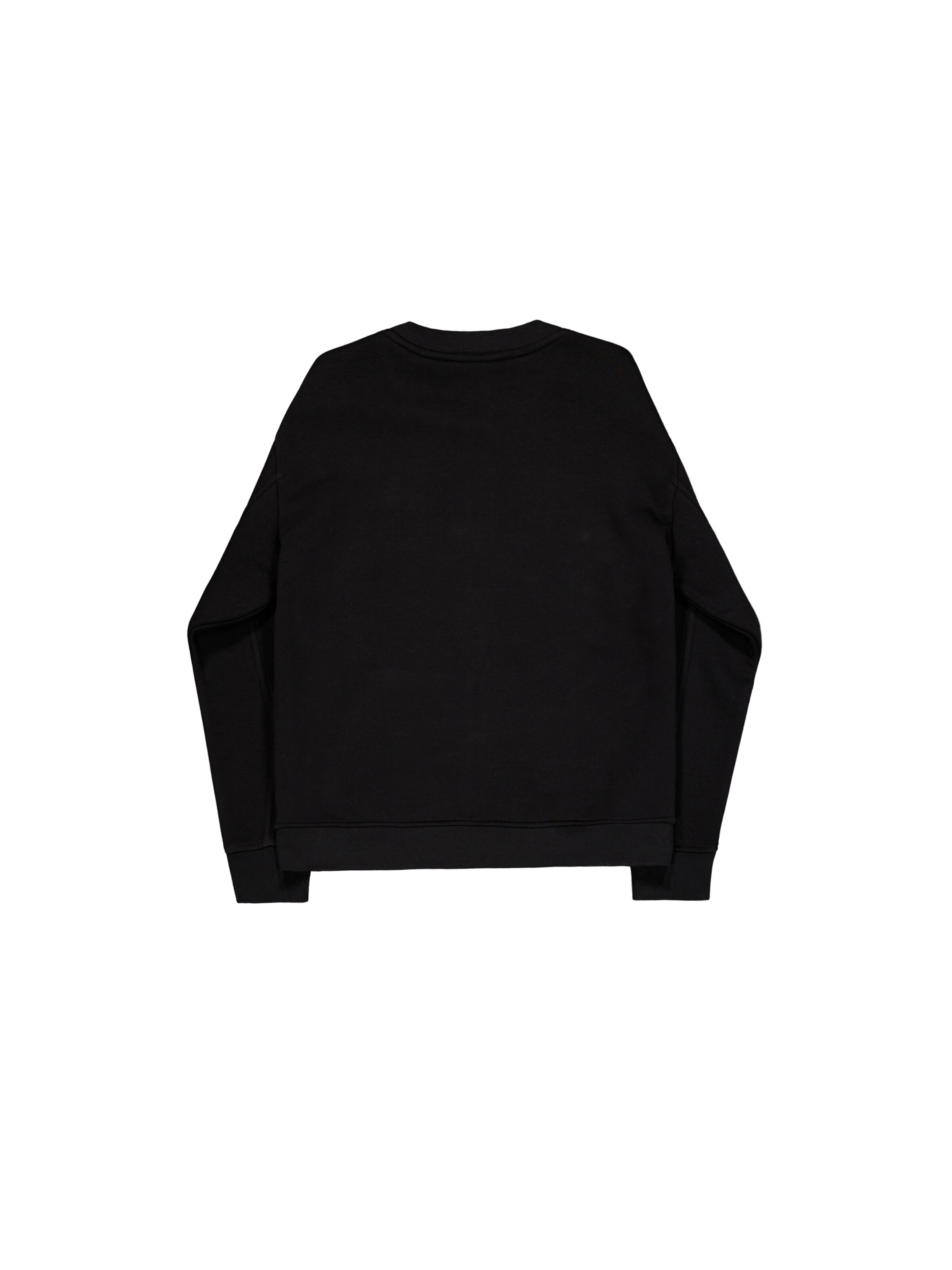 ALPHA INDUSTRIES Between-Season Jacket in Black: back
