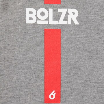 Bolzr Sweatshirt in Grau