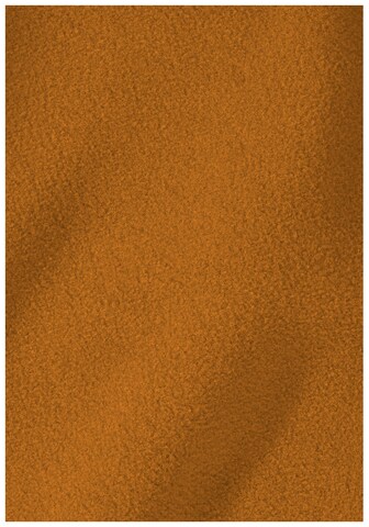 JACK WOLFSKIN Funktionsfleecejacke in Braun