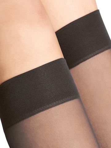FALKE Overknee Strümpfe 'Matt Deluxe'‌‌‌‌‌‌‌‌‌‌ in Braun