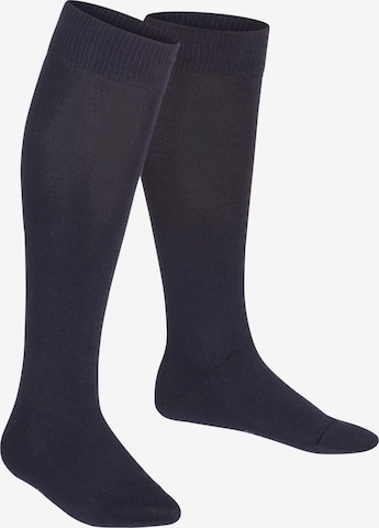 FALKE Socks 'Family' in Blue: front
