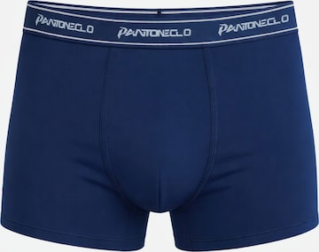 PANTONECLO Boxer shorts 'Pantoneclo Men’s Boxer Underwear' in Blue: front