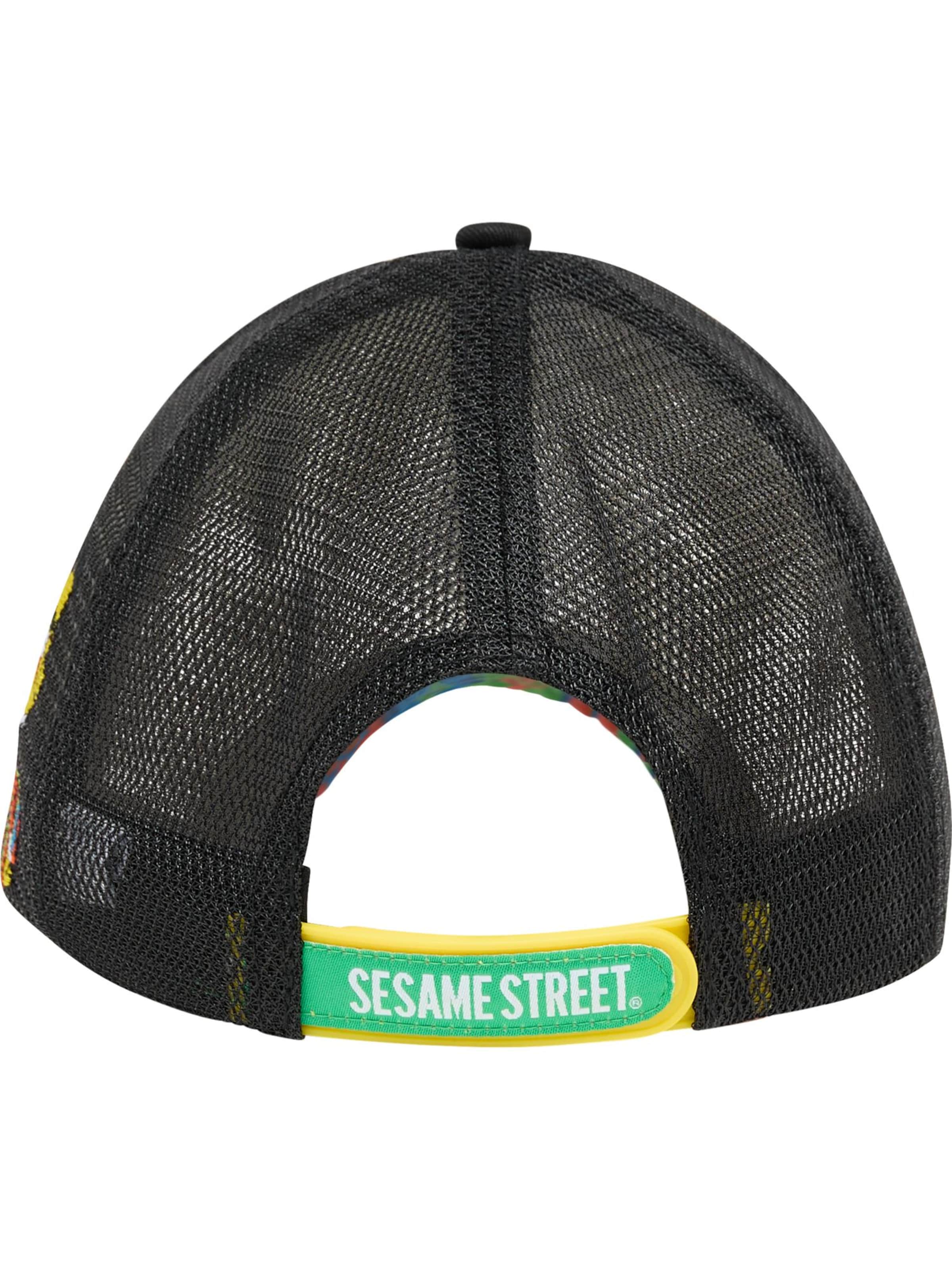 Carlo Colucci Pet 'Dehmani' in Zwart