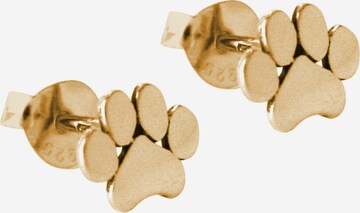Boucles d'oreilles Gemshine en or