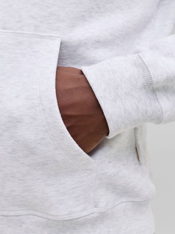 JACK & JONES Sweatshirt 'JORBLeecker' in Grey
