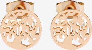 Akzent Earrings 'Oliwai, langlebig' in Gold: front