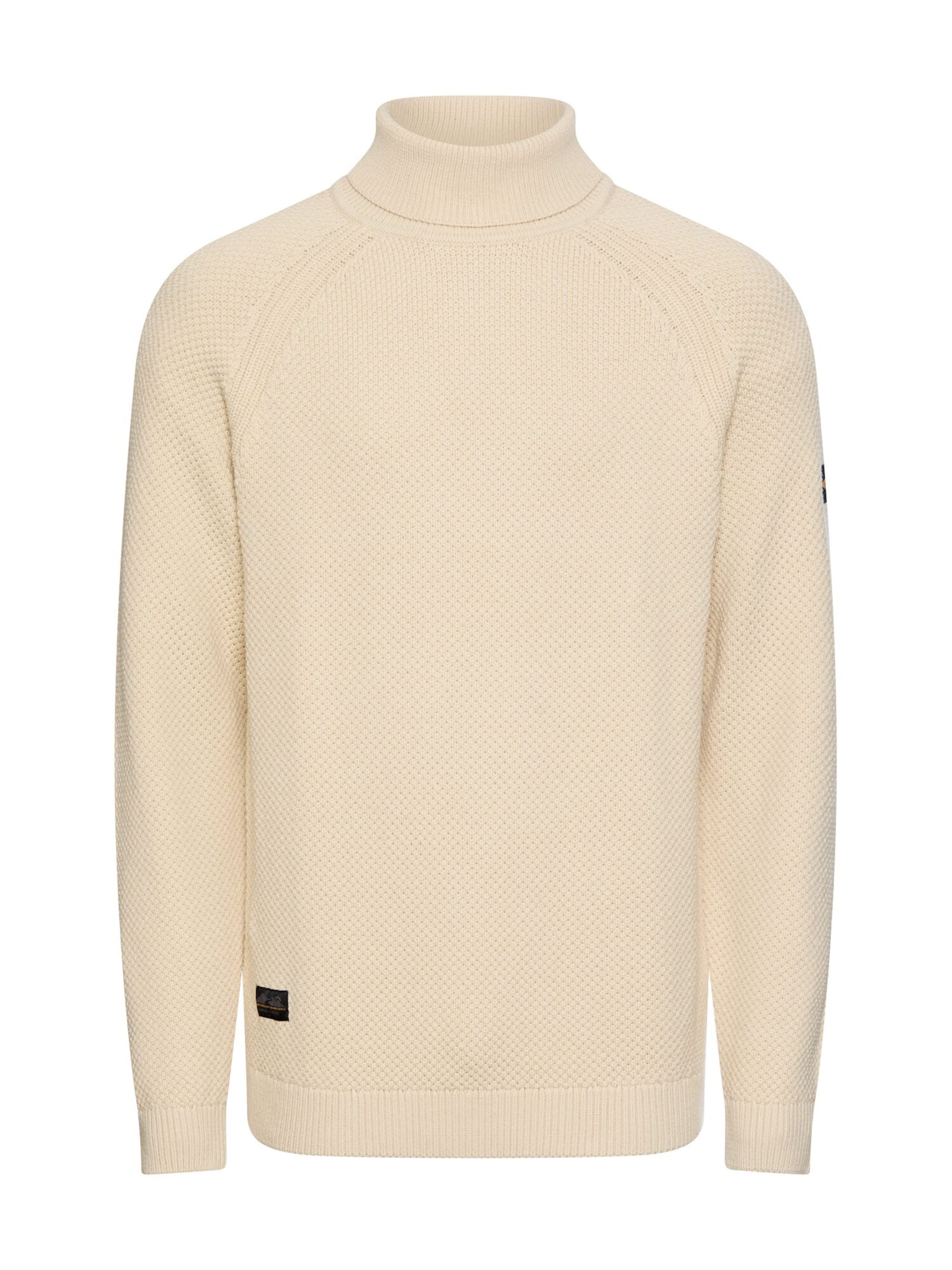 CAMEL ACTIVE Sweater in Beige: front