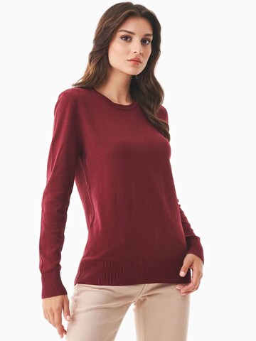Organication Pullover in Rot