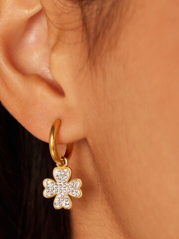 Boucles d'oreilles Lucardi en or