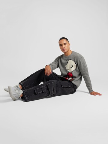 ANNARR Pullover 'anrrolf' in Grau