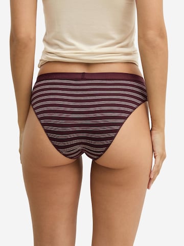 Marc O'Polo Panty ' Essentials ' in Pink