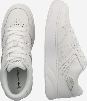 LACOSTE Låg sneaker i vit