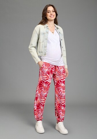 Neun Monate Tapered Hose in Rot