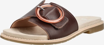 Zoccoletto di ARA in marrone: frontale