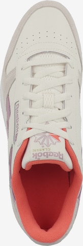 Reebok Sneakers laag in Beige