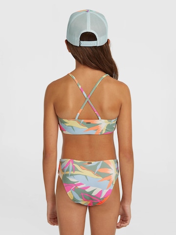 O'NEILL Bikini 'Essentials Bralette' in Mixed colors