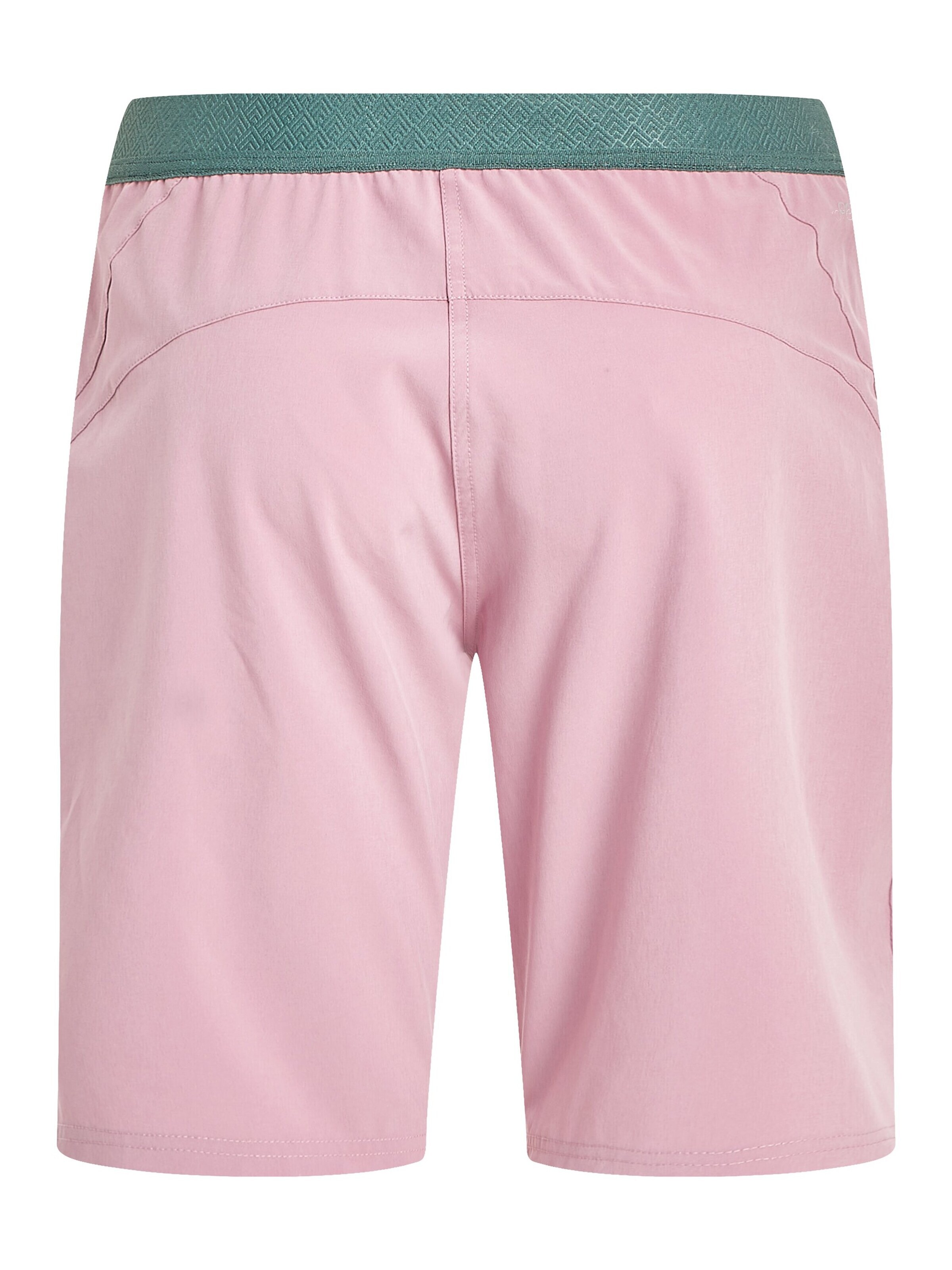 PROTEST Regular Trousers 'PRTACACIA' in Purple