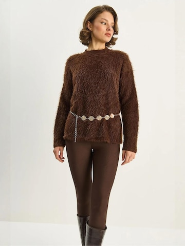 Pull-over 'Pullover' Bianco Lucci en marron
