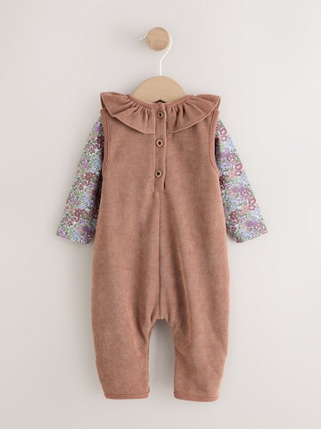 Next Regular Set in Beige