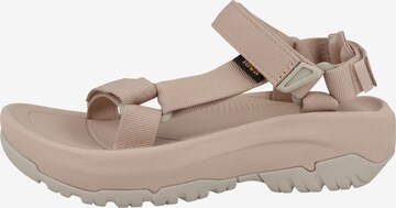 Sandales de randonnée TEVA en beige